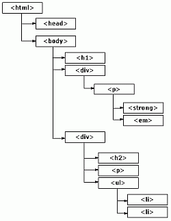 HTML Hiyerarşisi