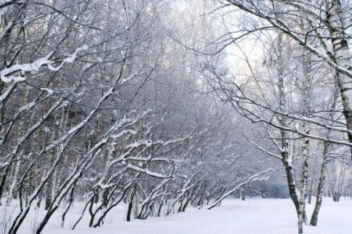 Creative Writing- Describe a Cold, Winter's Morning!?