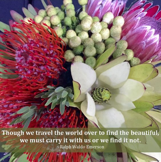 A Passion for Flowers Artwork We Love Flowers & Inspiring Words