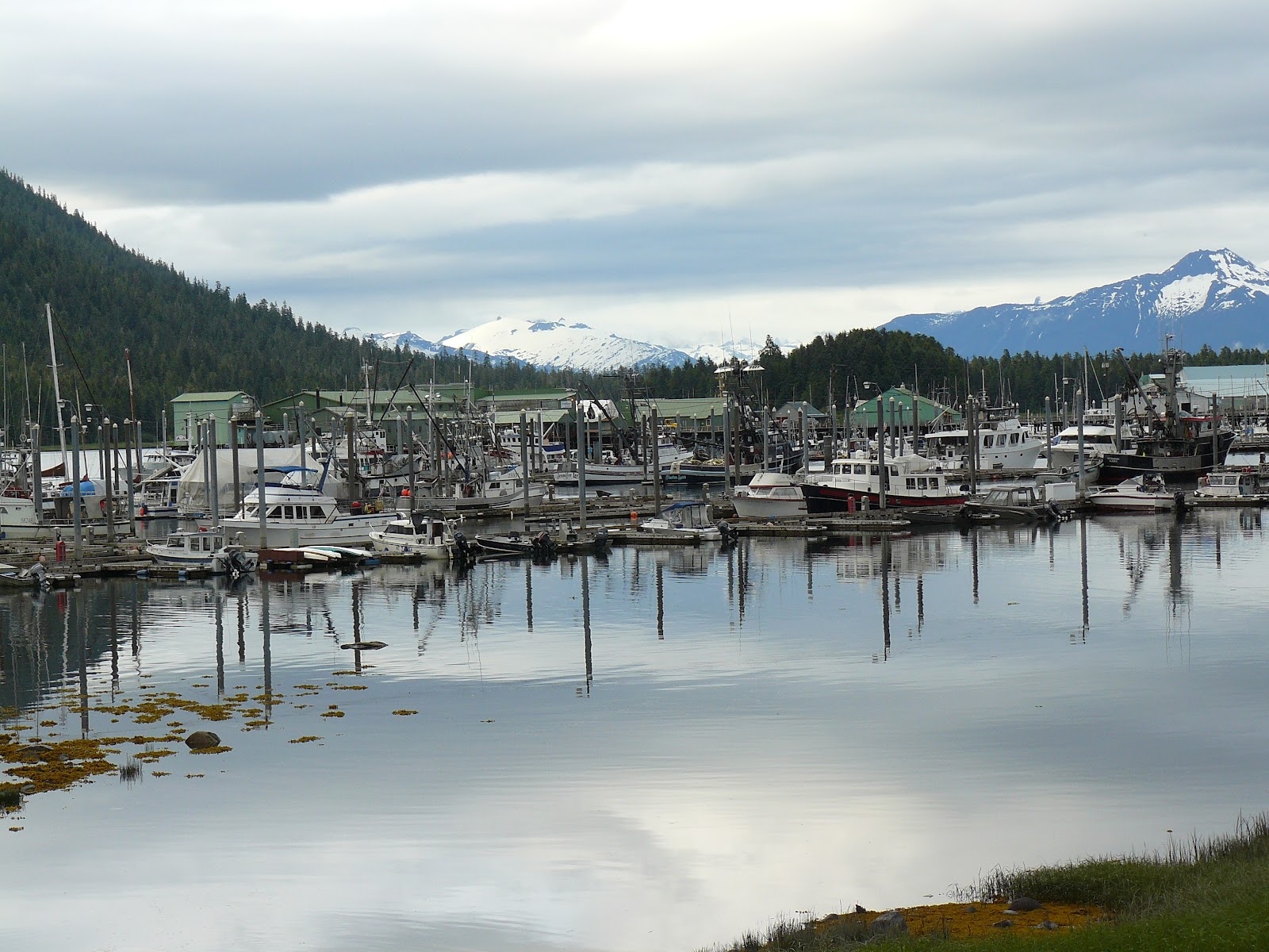 Rogers Travels Saturday 7th July MV Taku