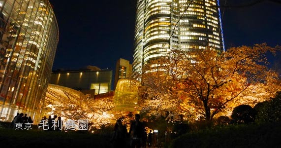 毛利庭園の桜とライトアップ ひとり旅が好きな女のブログ。