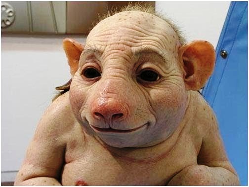 100.YIL BİRLİK PARKI PLÂTFORMU "AHMET NEDİM KAYA" Eğer; Bu Memleketin