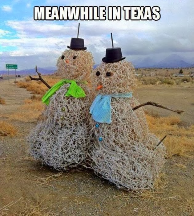 FUNNY : Only in Texas