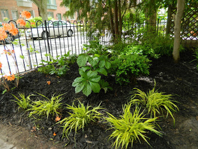 Summerhill front garden renovation after by Paul Jung Gardening Services Toronto