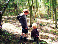 children in woodland with sun shining down