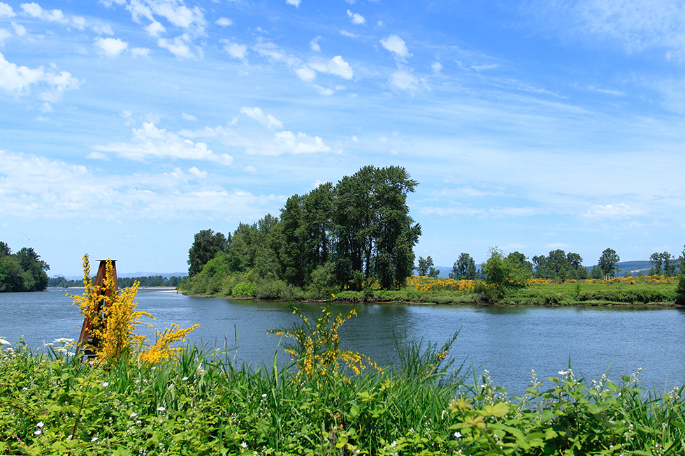 Photographing Oregon Westport Ferry