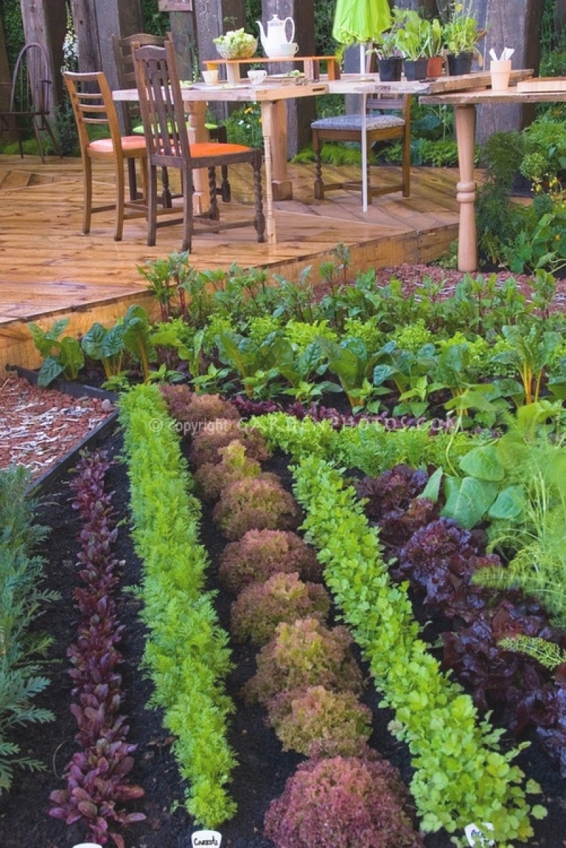 how to make the perfect vegetable garden