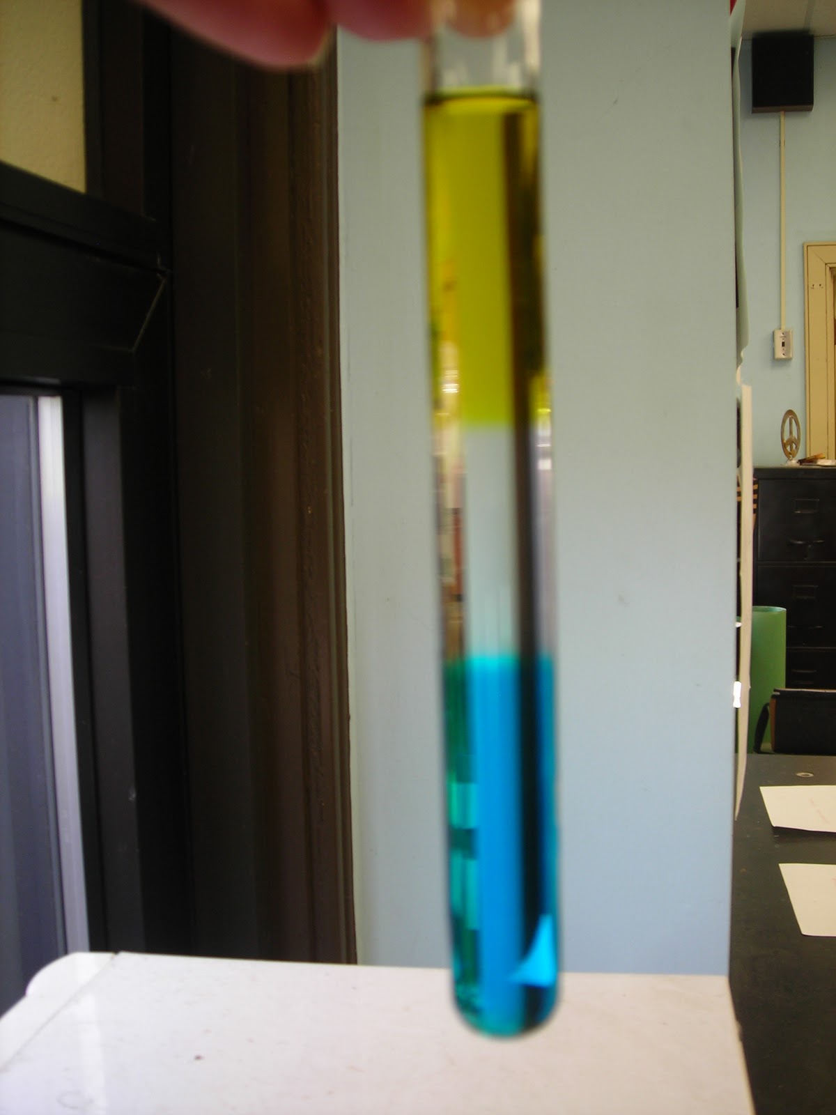 Mrs. Block's Chemistry! Chemistry I Newsletter DENSITY COLUMN LAB