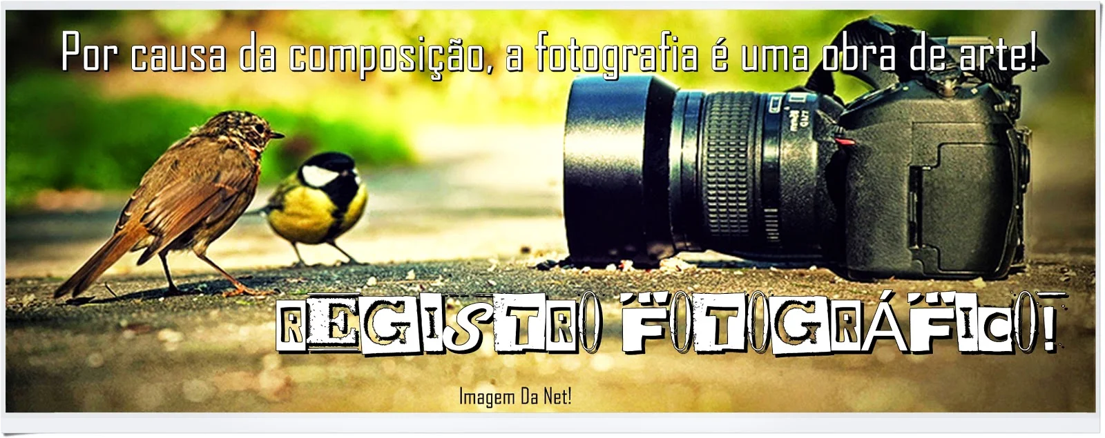  Registro Fotográfico!