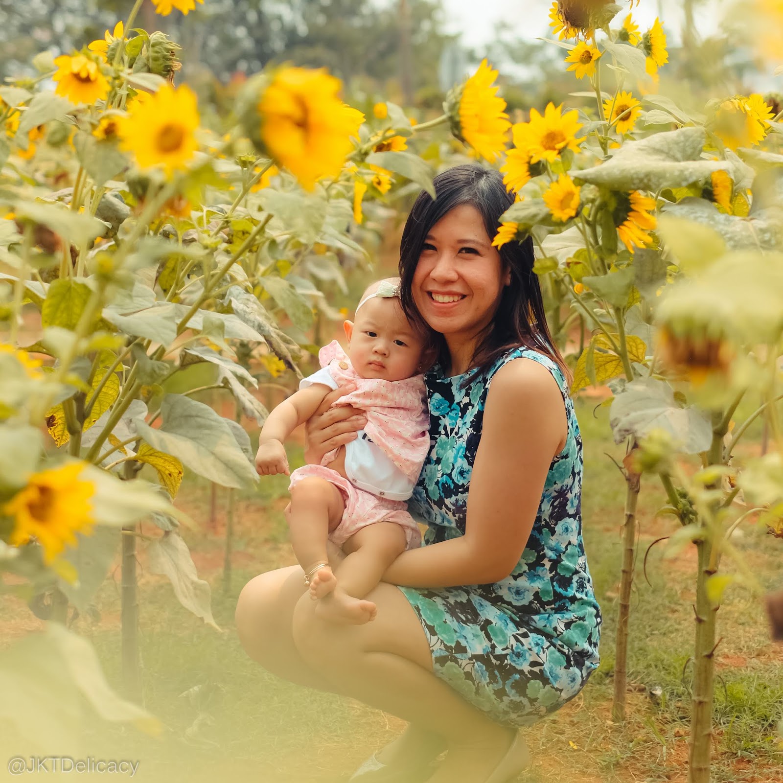 JKTDelicacy com Arumdalu Farm Taman Bunga  Matahari  