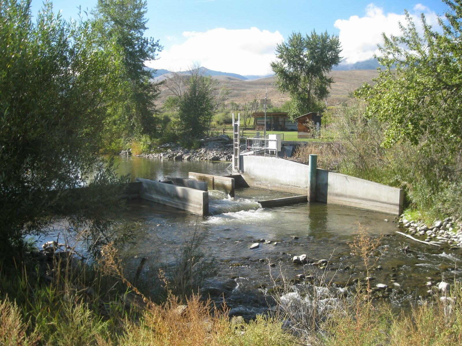 Wind Songs Salmon Idaho Part 1