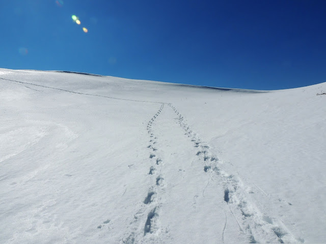 orme di ciaspole Abruzzo