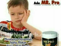 MR PRO Cara Menambah Nafsu Makan dan Berat Badan MR PRO Cara Menambah Nafsu Makan dan Berat Badan