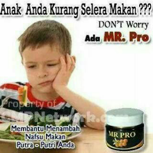 MR PRO Cara Menambah Nafsu Makan dan Berat Badan MR PRO Cara Menambah Nafsu Makan dan Berat Badan