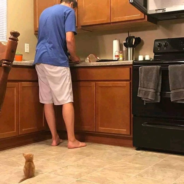 Waiting for food Waiting for food