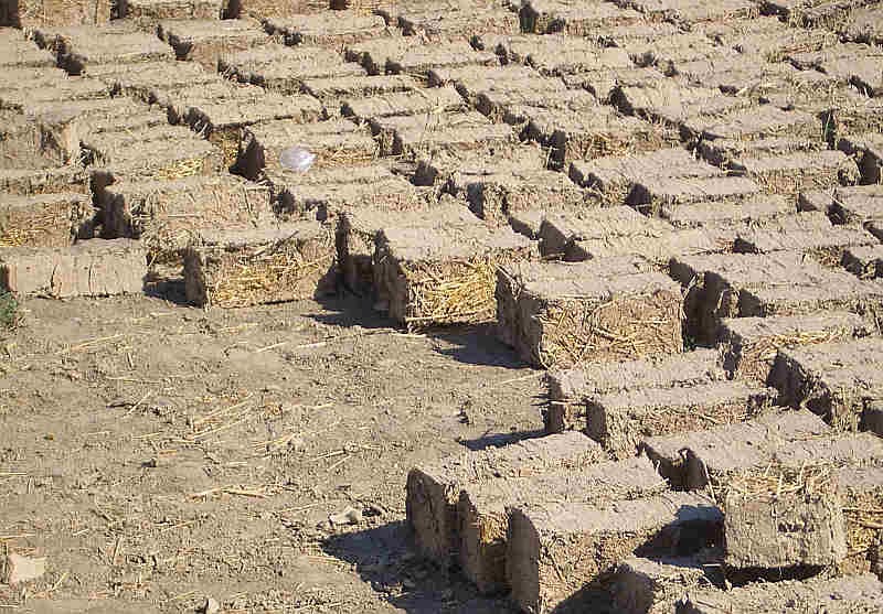 PLAINFIELD TODAY May 2014