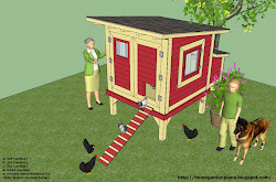 chicken coop plans build m300 x88 x135