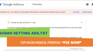 Masalah-masalah saat setting ads.txt adsense dan cara menghilangkan earning at risk walaupun sudah setting ads.txt di blogspot