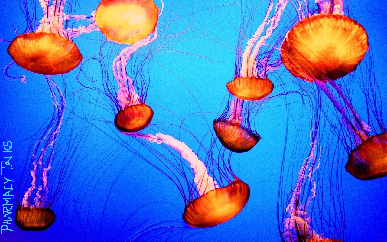 Pharmacy Talks Cancer Detection By Jellyfish