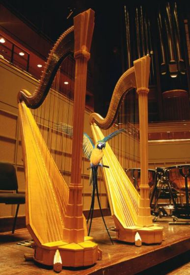 Ирландия и Музыка: Арфа