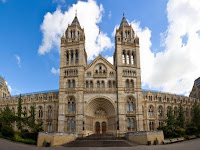 Musée D Histoire Naturelle De Londres