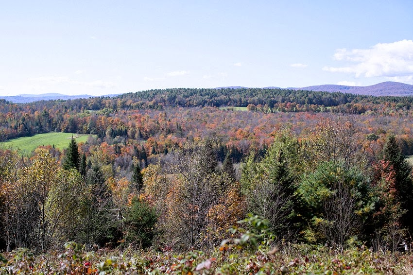 OTIS (Odd Things I've Seen) Twelve Hours in Vermont