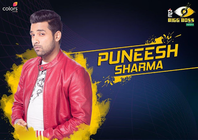 Puneesh Sharma (Bigg Boss 11 Contestant)