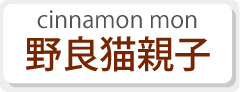 cinnamon mon