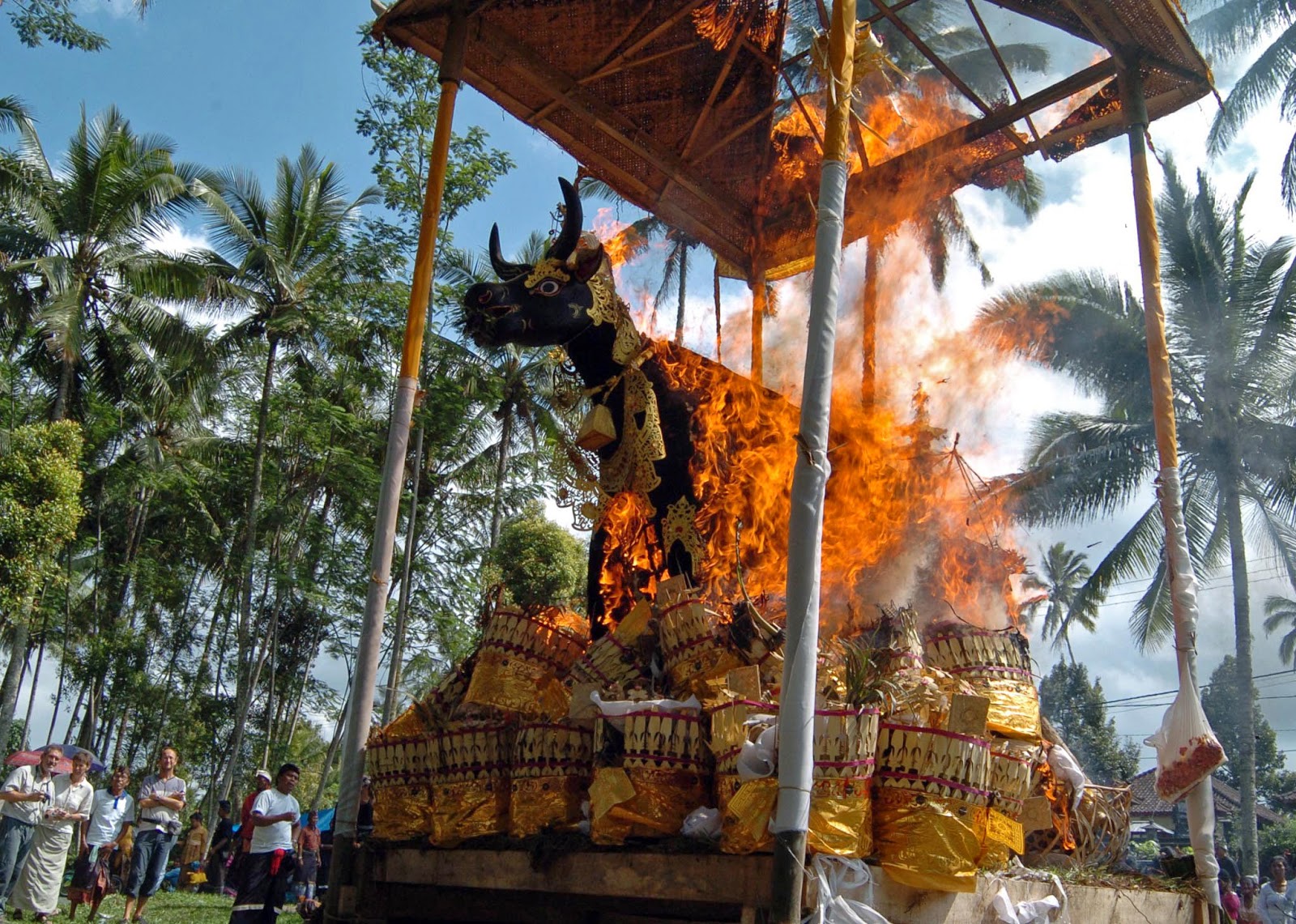 Driver & Tours Guide di Bali: Upacara Ngaben (Pembakaran Mayat di Bali)