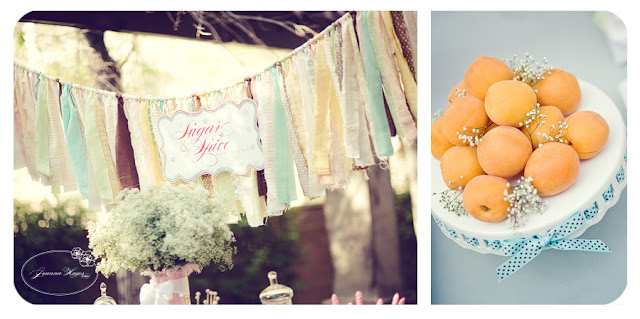 Kara s Party Ideas Sugar and Spice and Everything Nice Vintage Party  - 86