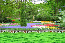 photoshop nature background natural backgrounds wallpapers editing adobe garden studio designs widescreen templates desktop psd itl resolution places natures