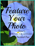 Hello, All. Just a little reminder that you're invited to post a photo on my . (final feature photo facebook)
