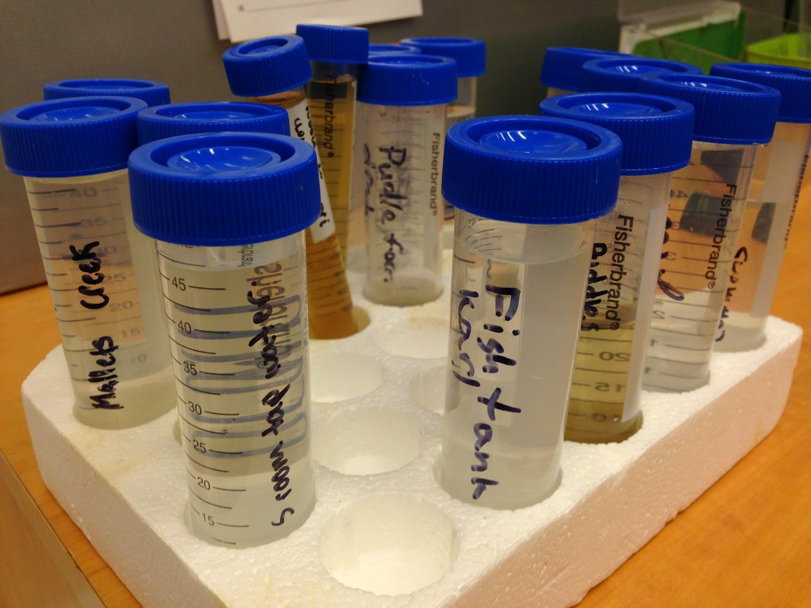 Jason's 5th/6th Grade Class at Summers-Knoll School: Investigating Water