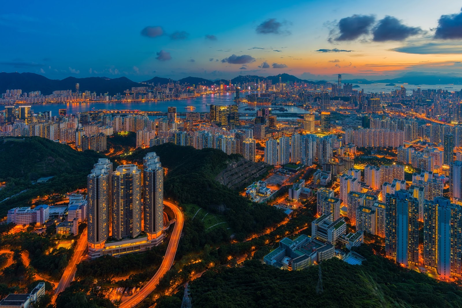 PlaceAesthetics The Top 10 Interesting Facts About Hong Kong