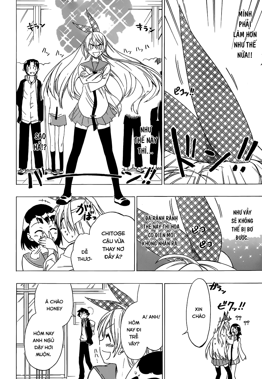 Nise Koi - Tình Yêu Giả Tạo chap 57