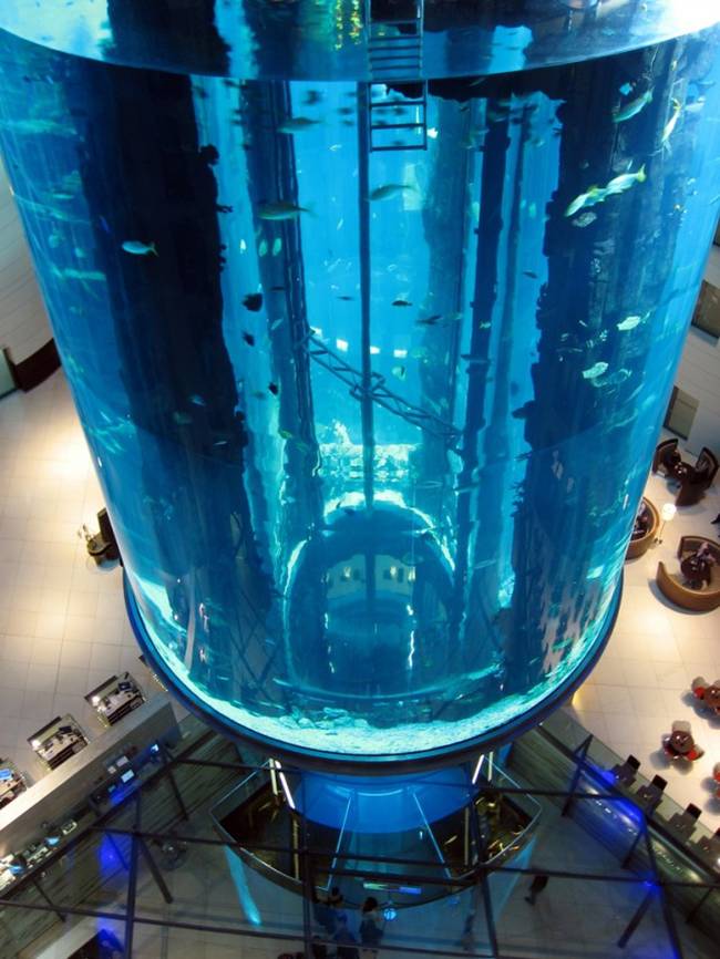 Pix Grove World's Largest Cylindrical Aquarium Aquadom