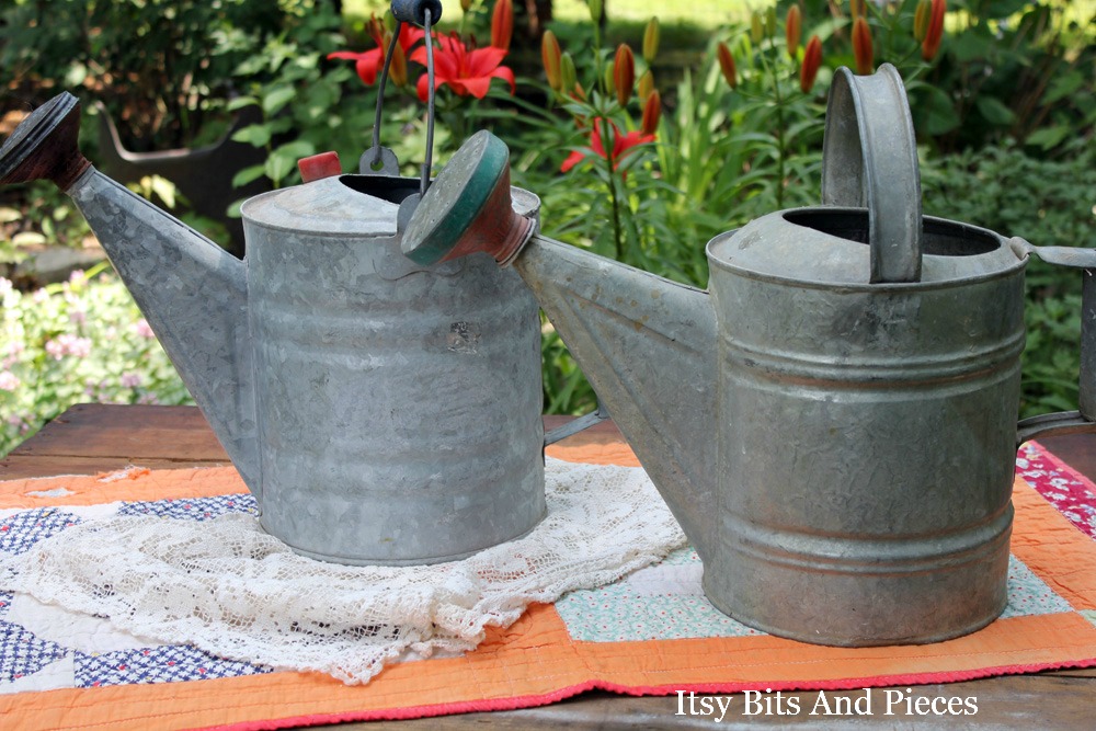 Vintage Watering Cans... Itsy Bits and Pieces