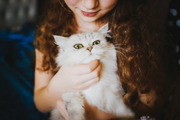 alt="gatito compañero en los brazos de una niña"
