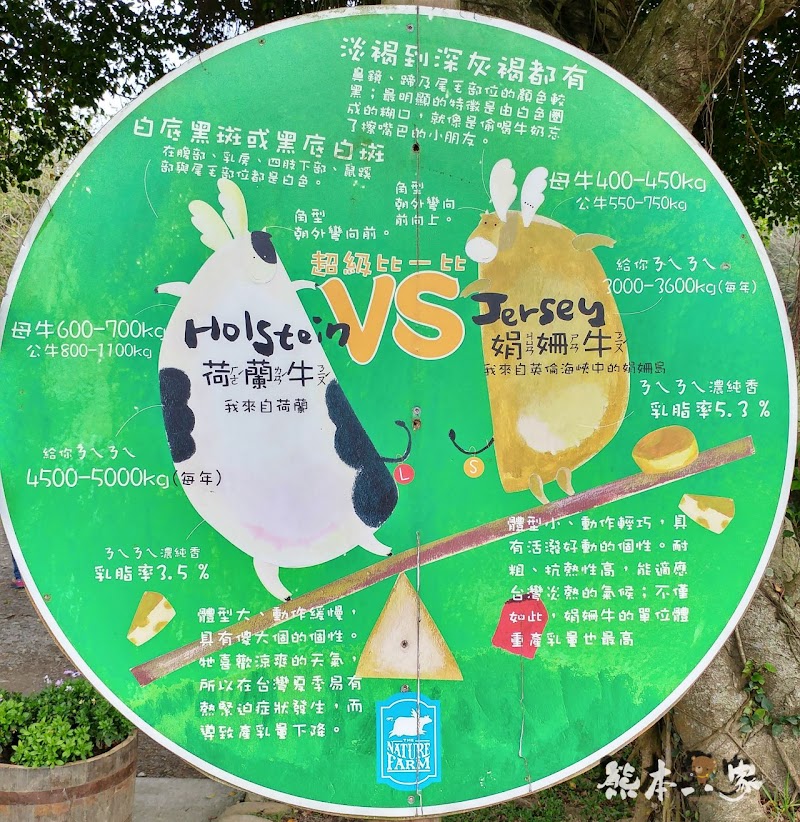 一秒到歐洲|苗栗飛牛牧場|最美牧場和大草原~野餐嬉戲觀乳牛、人工濕地護自然