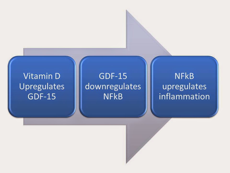 The Squirrel's Nest Vitamin D and Prostate Cancer
