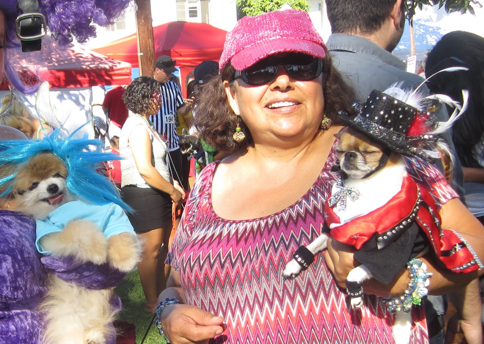 DOGGIE CELEBRITIES Jack Meets Lady Gaga, Liberace, Elvis, Bob Marley
