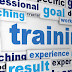 Training and Development Executive