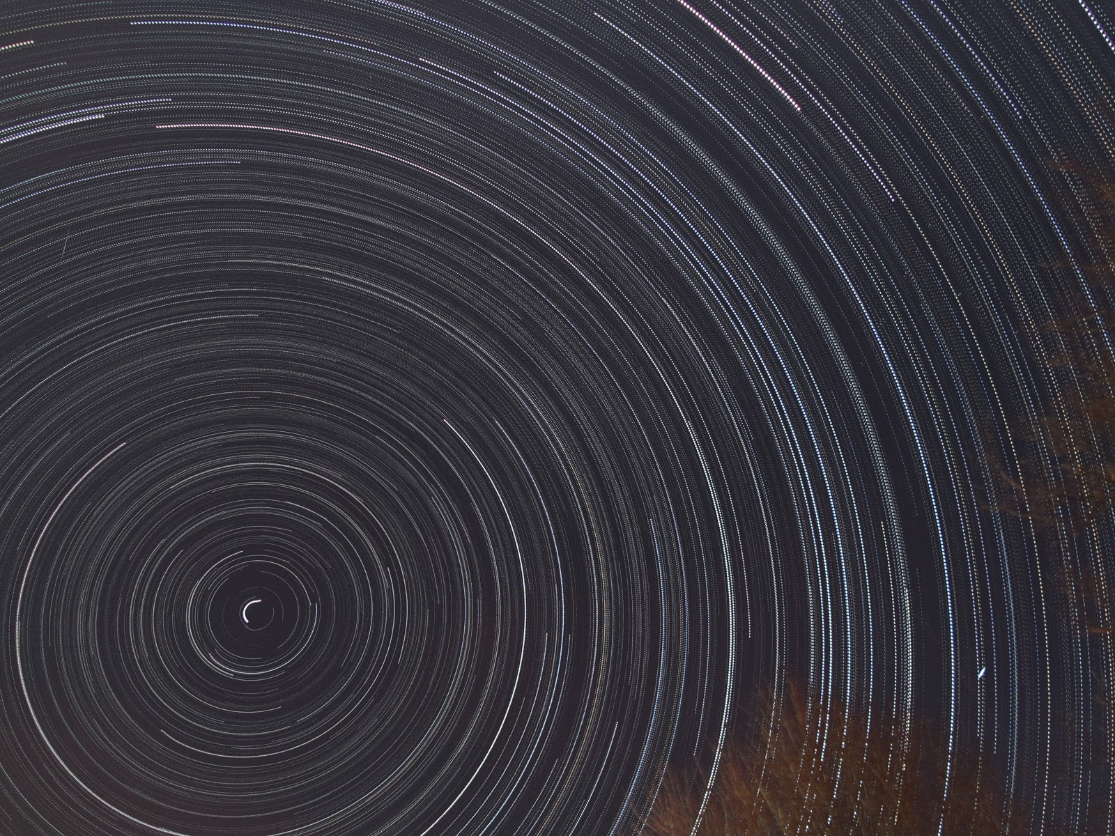 star+trail+1-4-12.jpg