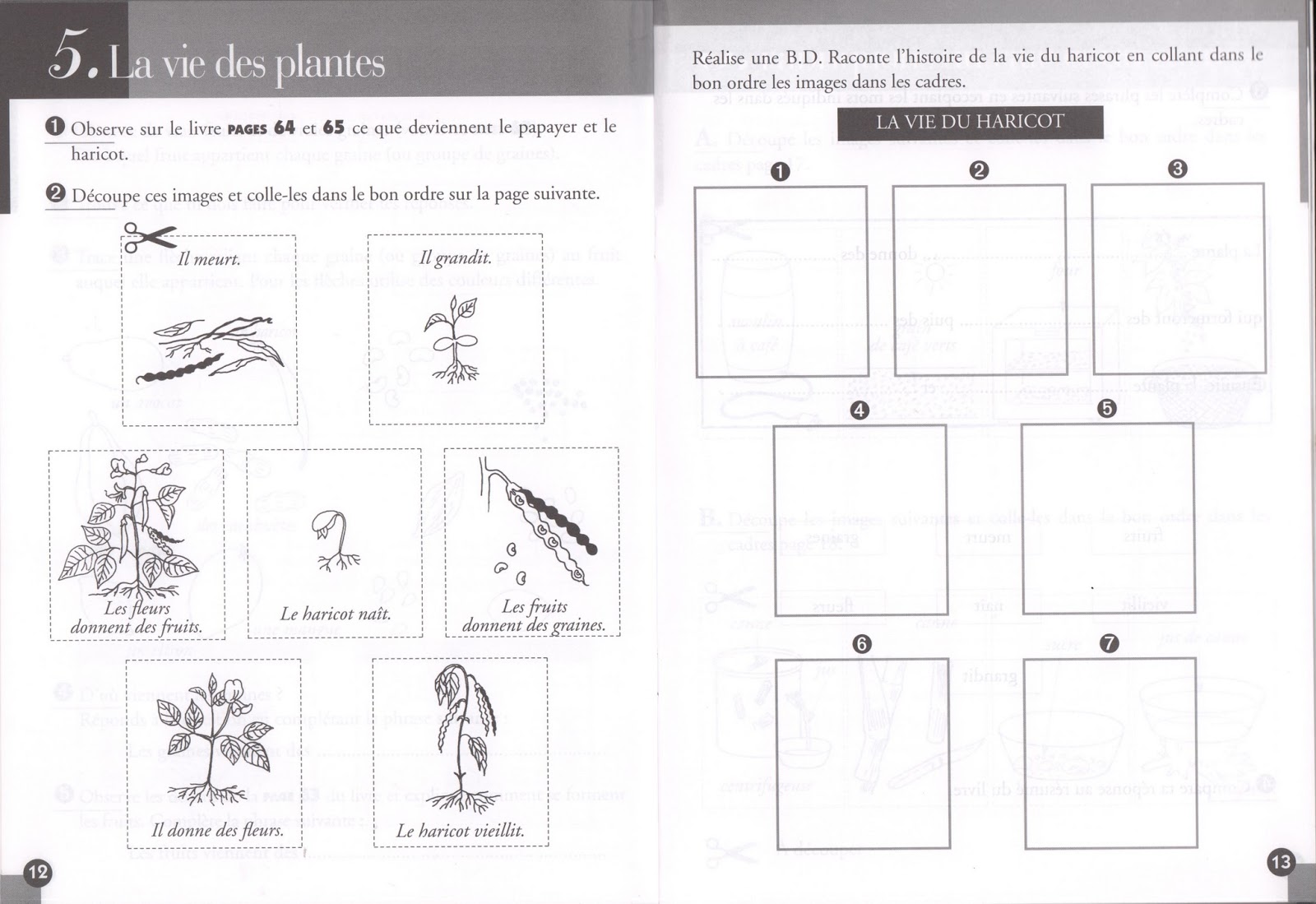 Cahier D Activités Ce1 à Imprimer ecolereferences.blogspot.com