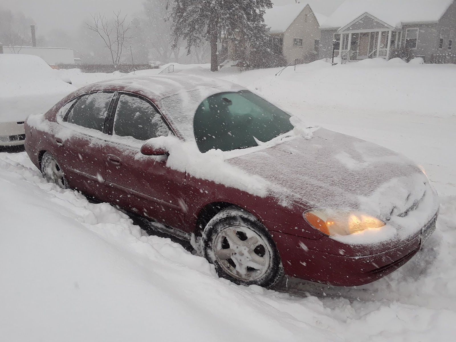 The Wild Reed: A New Snowfall Record