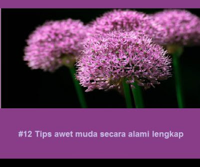 #12 Tips awet muda secara alami lengkap #12 Tips awet muda secara alami lengkap