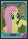 My Little Pony Fluttershy MLP the Movie Trading Card
