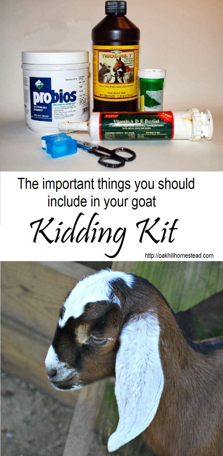 19 Important Items to Include in Your Goat Birthing Kit (Free Printable