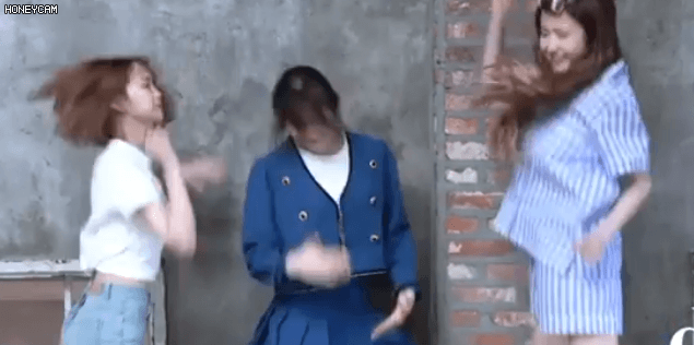 디스패치 팔로워 500만 기념