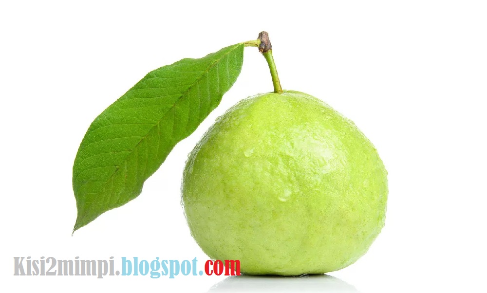 48 Mimpi manjat jambu biji togel